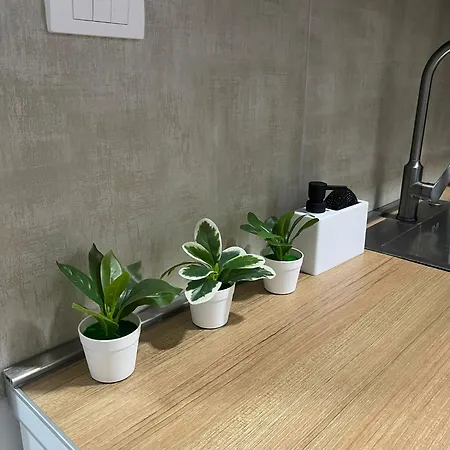 Stan Na Novom Bubnju شقة *